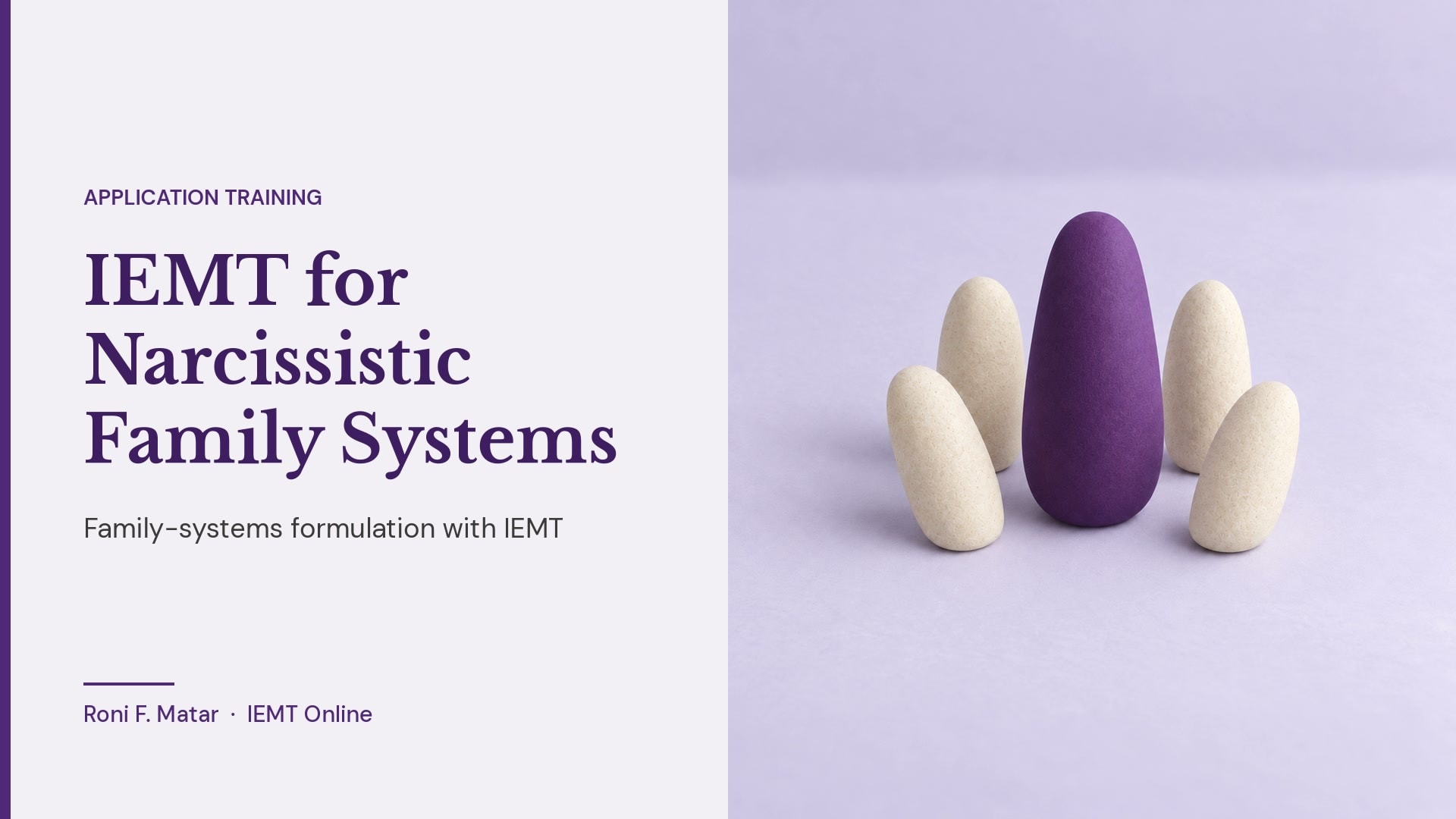 IEMT for Narcissistic Family Systems