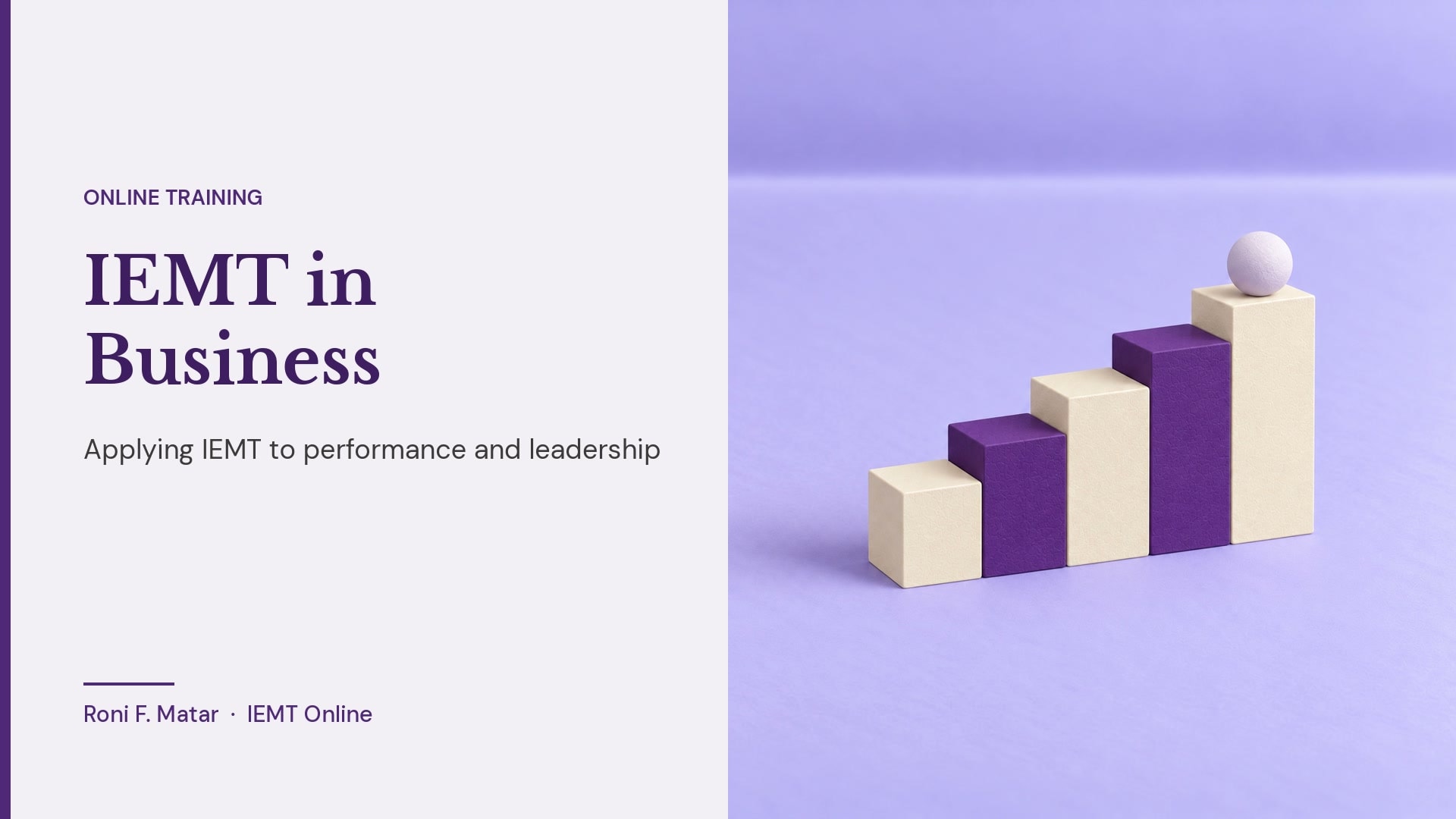 IEMT in Business Online Training