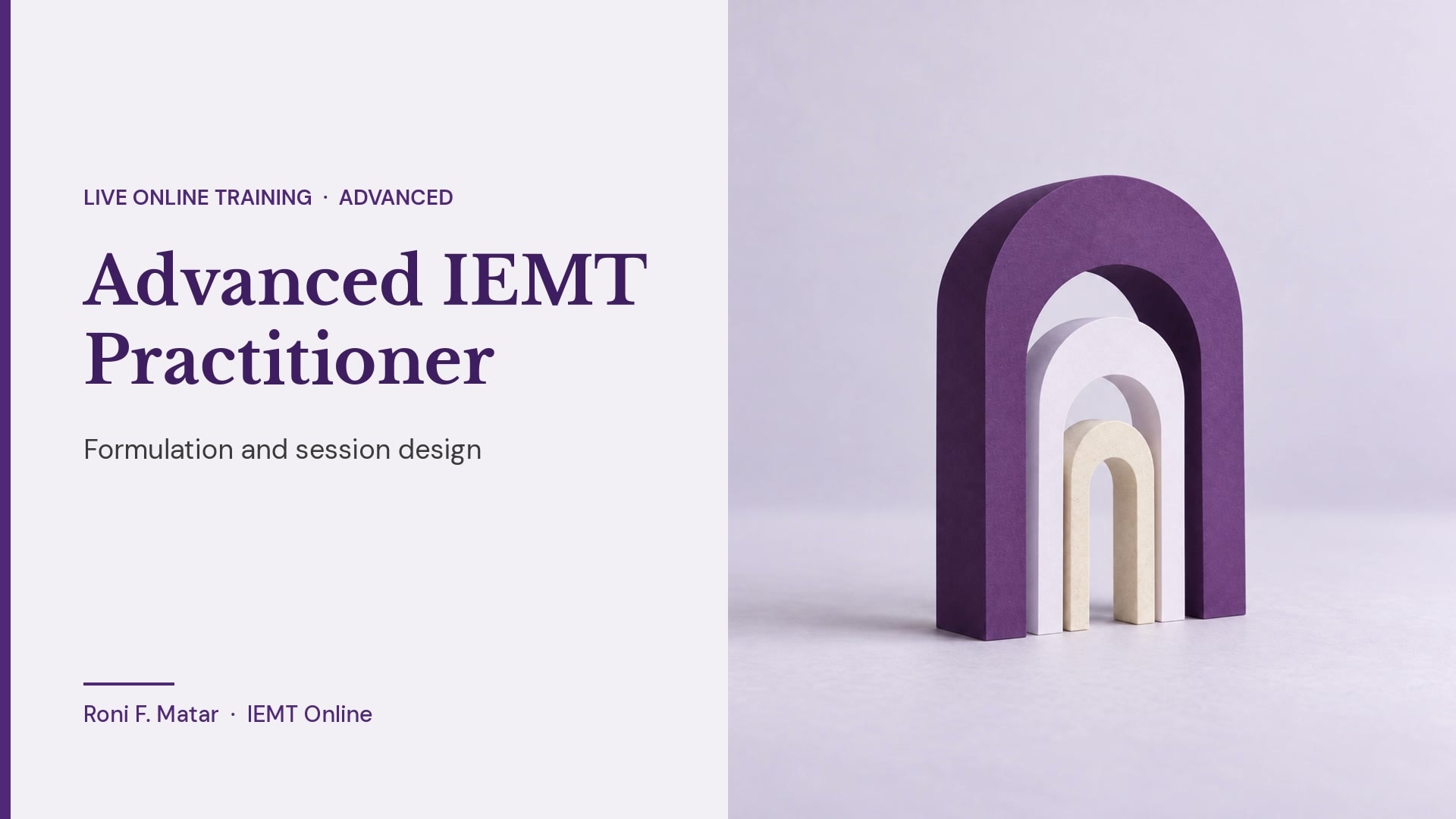 Advanced IEMT Practitioner - February 2026